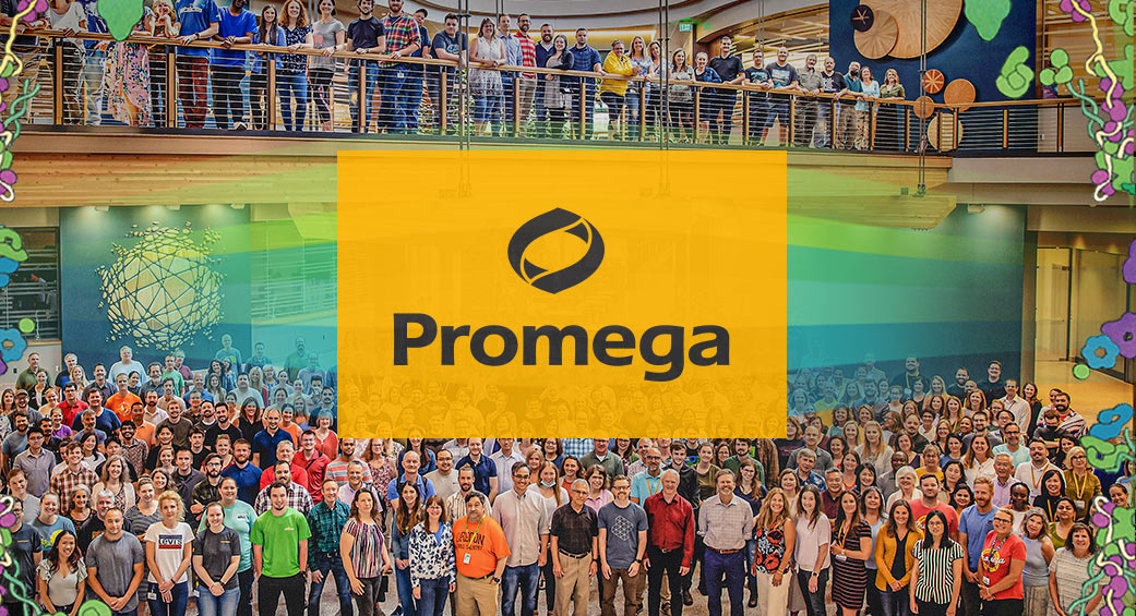Promega 384-well plate
